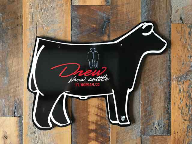 img_2381_2x_5833_1588863259.jpg img_2381_2x_5833_1588863259.jpg