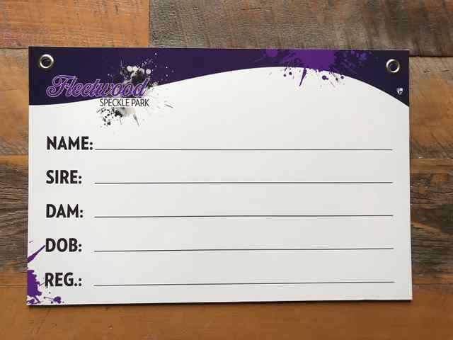 img_2386_2x_5834_1588863260.jpg img_2386_2x_5834_1588863260.jpg