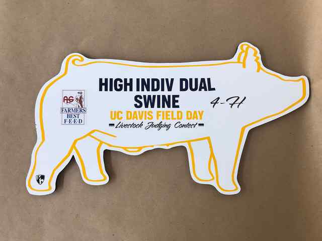 img_2467_2x_5837_1588863260.jpg img_2467_2x_5837_1588863260.jpg