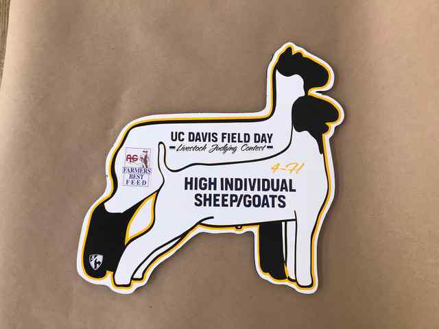 img_2574_2x_5839_1588863260.jpg img_2574_2x_5839_1588863260.jpg