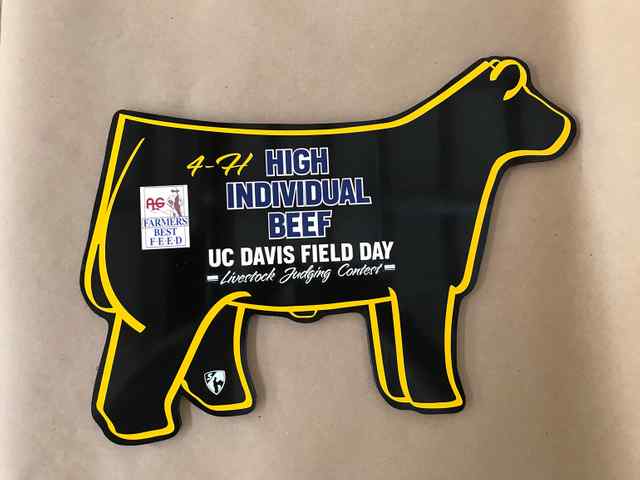 img_2668_2x_5845_1588863261.jpg img_2668_2x_5845_1588863261.jpg