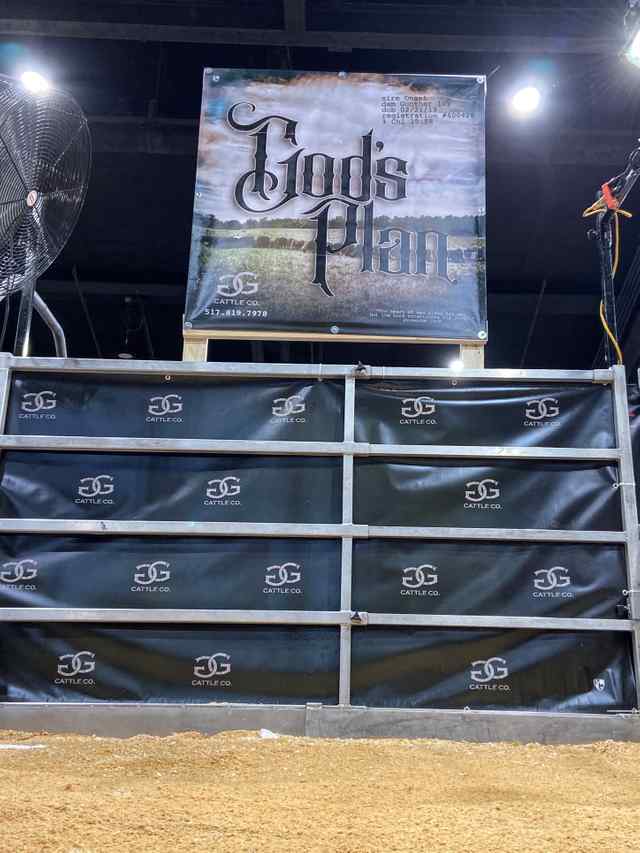 img_2826_8453_1604082935.jpg img_2826_8453_1604082935.jpg