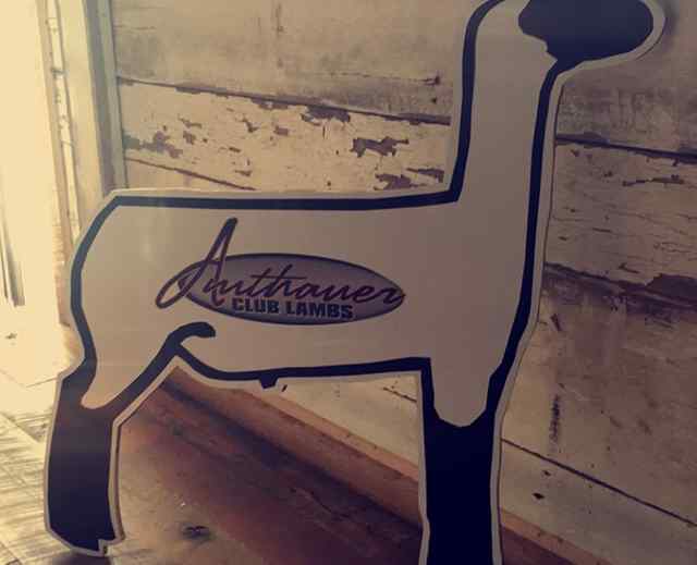 img_3076_crop_u7451_5866_1588863264.jpg img_3076_crop_u7451_5866_1588863264.jpg