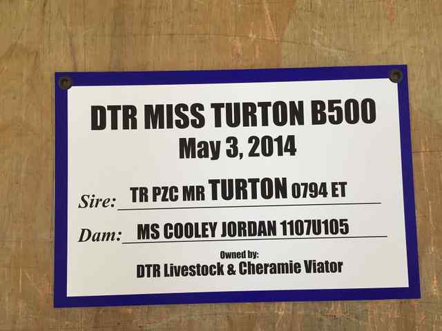 img_3380_2x_5929_1588863271.jpg img_3380_2x_5929_1588863271.jpg