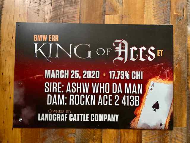 IMG_3609.jpg IMG_3609.jpg