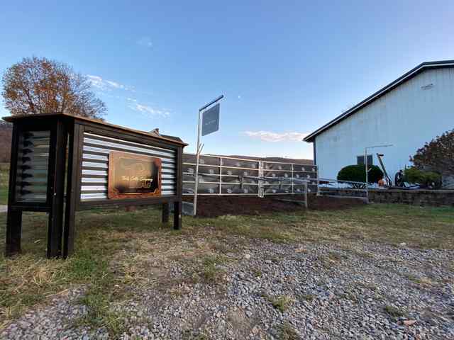 img_4456_8459_1604082937.jpg img_4456_8459_1604082937.jpg