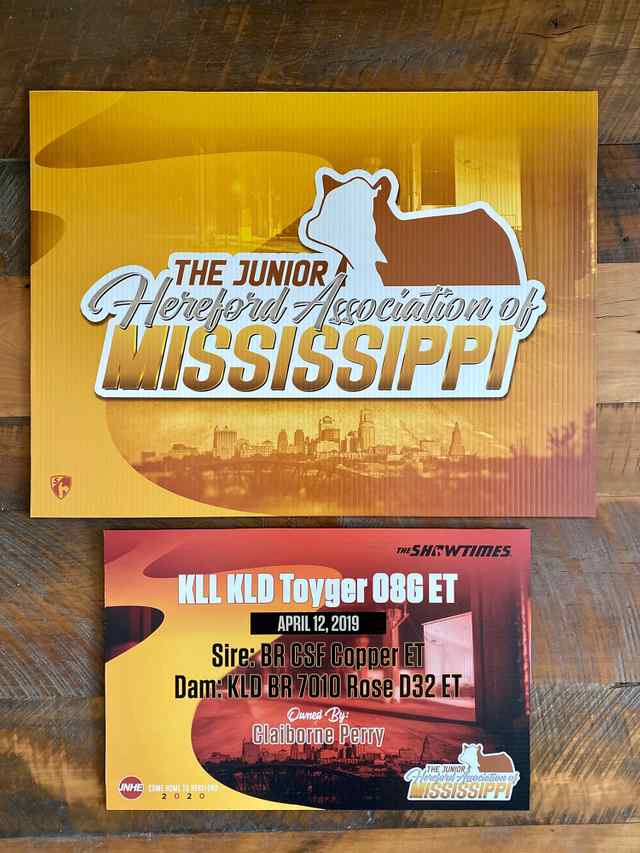 IMG_6872.JPG IMG_6872.JPG