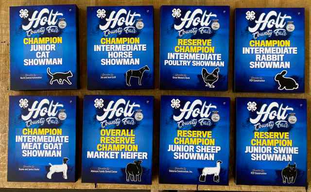 img_7695_8445_1604082926.jpg img_7695_8445_1604082926.jpg