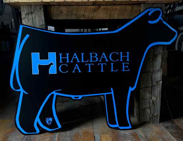 img_7705_8441_1604082896.jpg img_7705_8441_1604082896.jpg