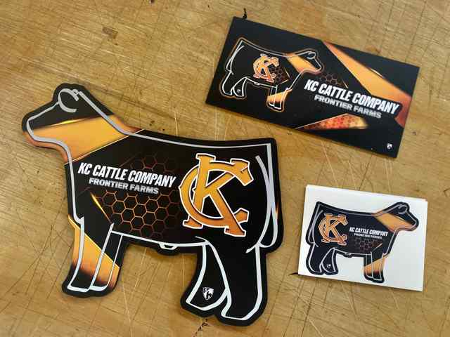 img_7871_8463_1604082941.jpg img_7871_8463_1604082941.jpg