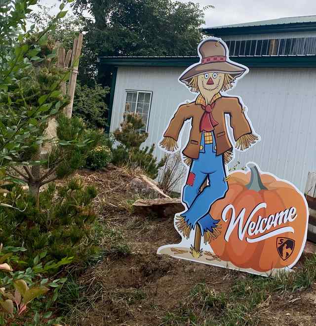 img_7877_8443_1604082904.jpg img_7877_8443_1604082904.jpg