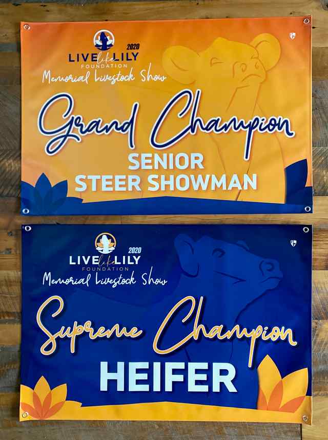 img_8131_8446_1604082926.jpg img_8131_8446_1604082926.jpg