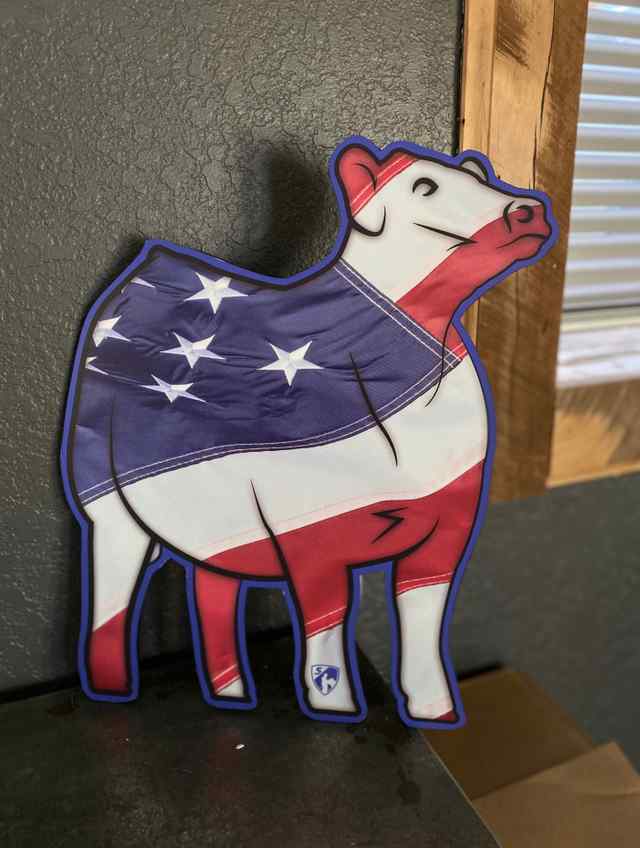 img_8225_8454_1604082935.jpg img_8225_8454_1604082935.jpg