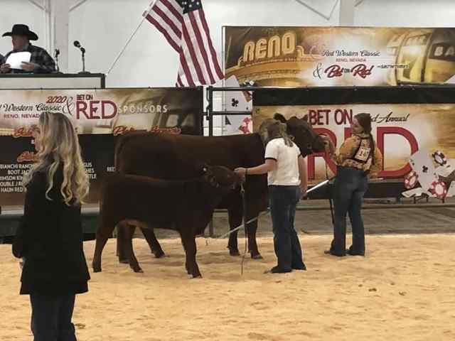 img_8265_8435_1604082875.jpg img_8265_8435_1604082875.jpg