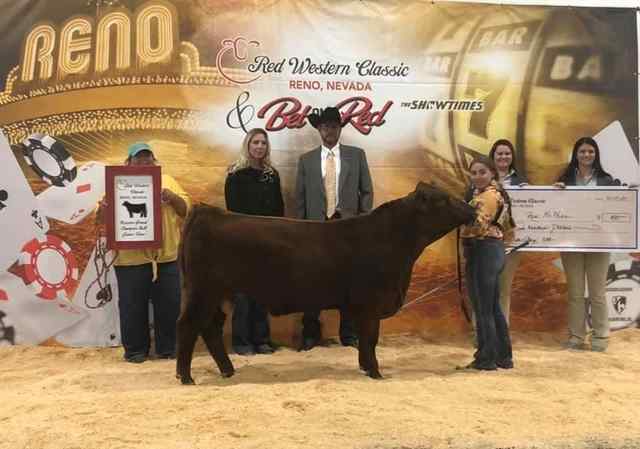 img_8266_8436_1604082875.jpg img_8266_8436_1604082875.jpg