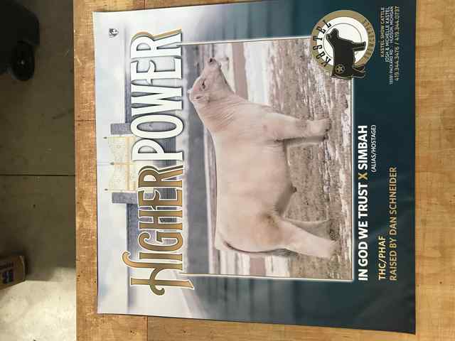 img_8711_7176_1590849171.jpg img_8711_7176_1590849171.jpg