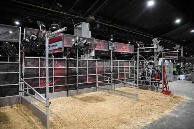 naile19_all_17_8317_1597709012.jpg naile19_all_17_8317_1597709012.jpg