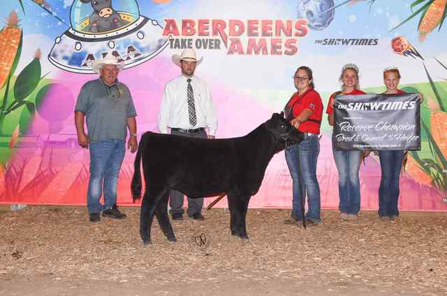 res_ch_b_o_heifer_6668_1590763956_6989_1590771333.jpg res_ch_b_o_heifer_6668_1590763956_6989_1590771333.jpg