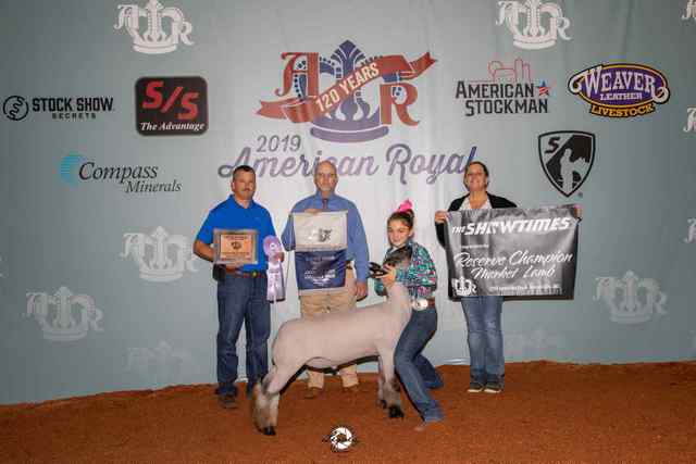 reserve_lamb_no_family_6593_1590761948_6945_1590771328.jpg reserve_lamb_no_family_6593_1590761948_6945_1590771328.jpg