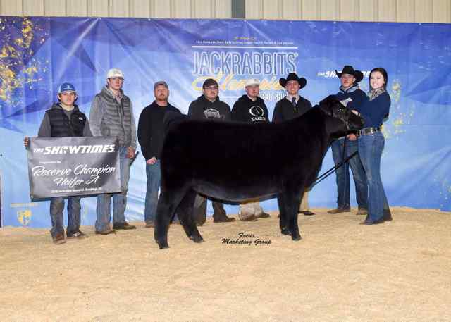 reserveheifer_ringa_podzimek_6707_1590764338_6960_1590771331.jpg reserveheifer_ringa_podzimek_6707_1590764338_6960_1590771331.jpg