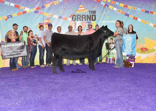 reserveoverall_championjunioryearling_vanvliet_6672_1590764034_6994_1590771334.jpg reserveoverall_championjunioryearling_vanvliet_6672_1590764034_6994_1590771334.jpg