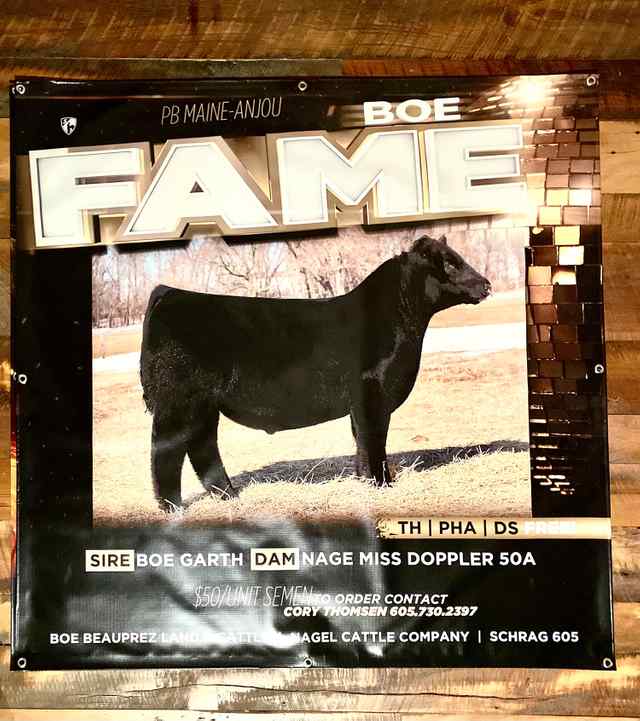 Showtimes_CoverAll_OKC Signs and Banners_16.jpg Showtimes_CoverAll_OKC Signs and Banners_16.jpg