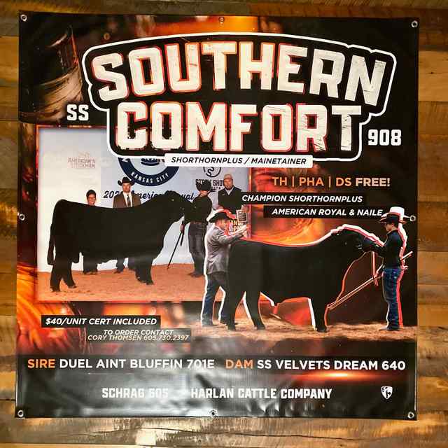 Showtimes_CoverAll_OKC Signs and Banners_17.jpg Showtimes_CoverAll_OKC Signs and Banners_17.jpg