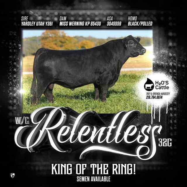 Showtimes_CoverAll_OKC Signs and Banners_19.jpg Showtimes_CoverAll_OKC Signs and Banners_19.jpg