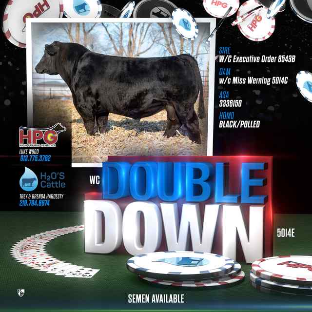 Showtimes_CoverAll_OKC Signs and Banners_23.jpg Showtimes_CoverAll_OKC Signs and Banners_23.jpg