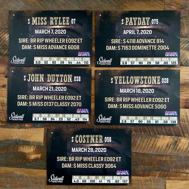 Showtimes_CoverAll_OKC Signs and Banners_5.jpg Showtimes_CoverAll_OKC Signs and Banners_5.jpg