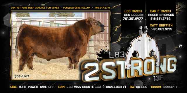 Showtimes_CoverAll_OKC Signs and Banners_8.jpg Showtimes_CoverAll_OKC Signs and Banners_8.jpg