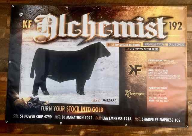 Showtimes_CoverAll_OKC Signs and Banners_9.jpg Showtimes_CoverAll_OKC Signs and Banners_9.jpg