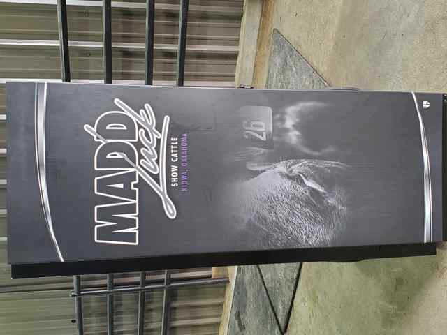 tack_box_8433_1604082752.jpg tack_box_8433_1604082752.jpg