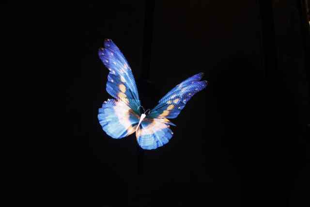 _MG_7046.JPG _MG_7046.JPG