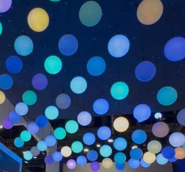 IMG_6537.jpg IMG_6537.jpg