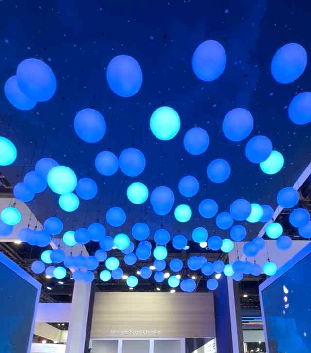 IMG_6538.jpg IMG_6538.jpg