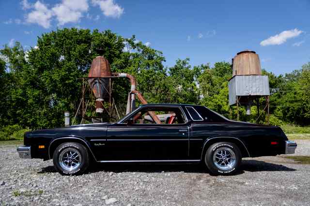 20210507_KWS_Cutlass_web_00014.JPG 20210507_KWS_Cutlass_web_00014.JPG