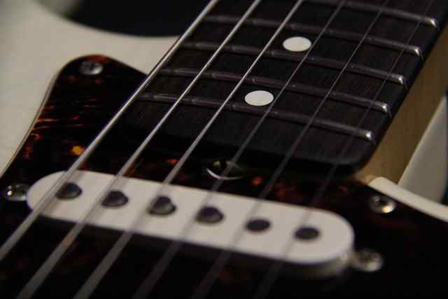 Ghost closeup of pickups and pick guard Ghost closeup of pickups and pick guard