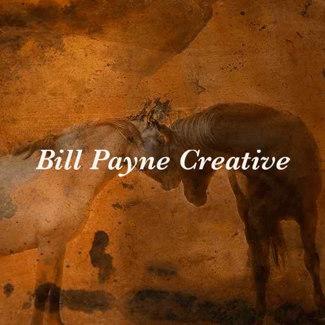 Bill Payne's Website Bill Payne in his life long endeavor to share his artistic talents has taken his art to a new level. Stop by his new web site and check it out for yourself. Read how Cielo Norte was created and check out Bill's Photography.