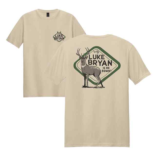 2025 Country Song Came On Tour Tan Tee