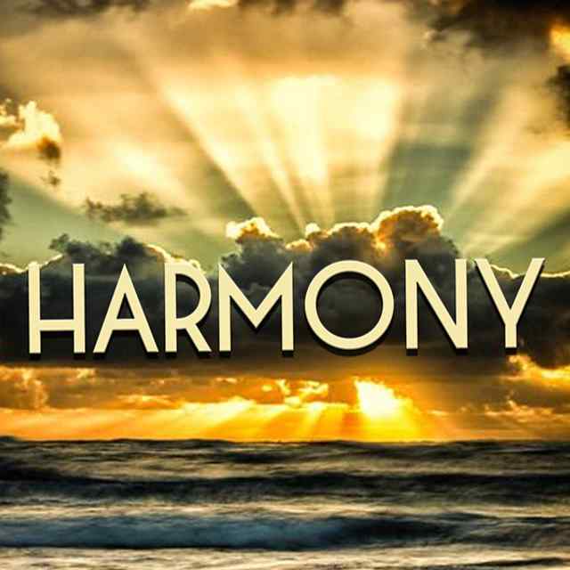 S1: Chapter Seven: Harmony