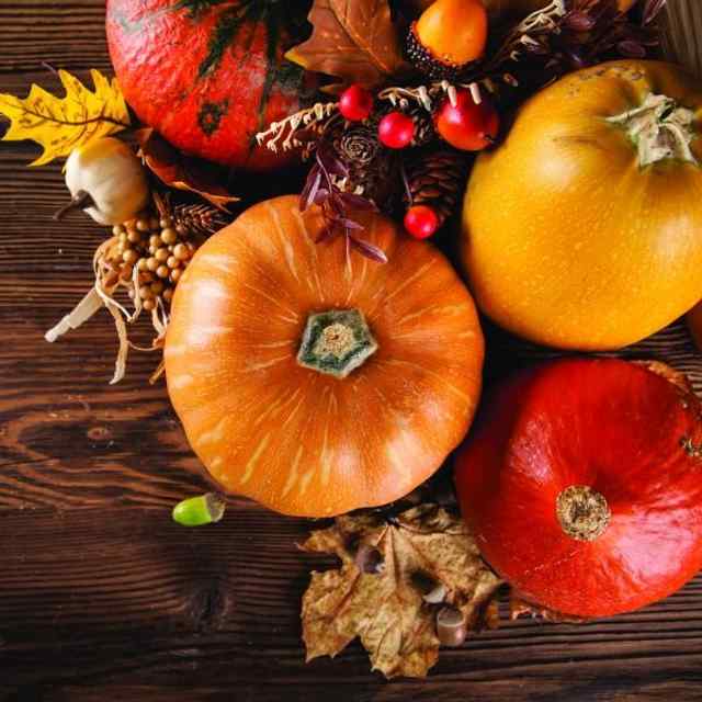 Closed for Thanksgiving