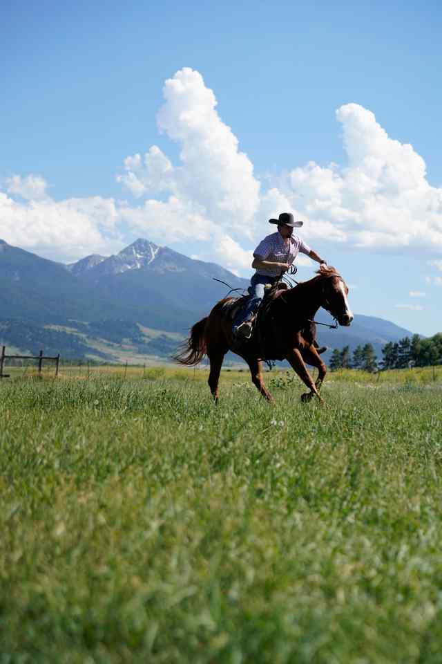 _WRP6714.jpg _WRP6714.jpg