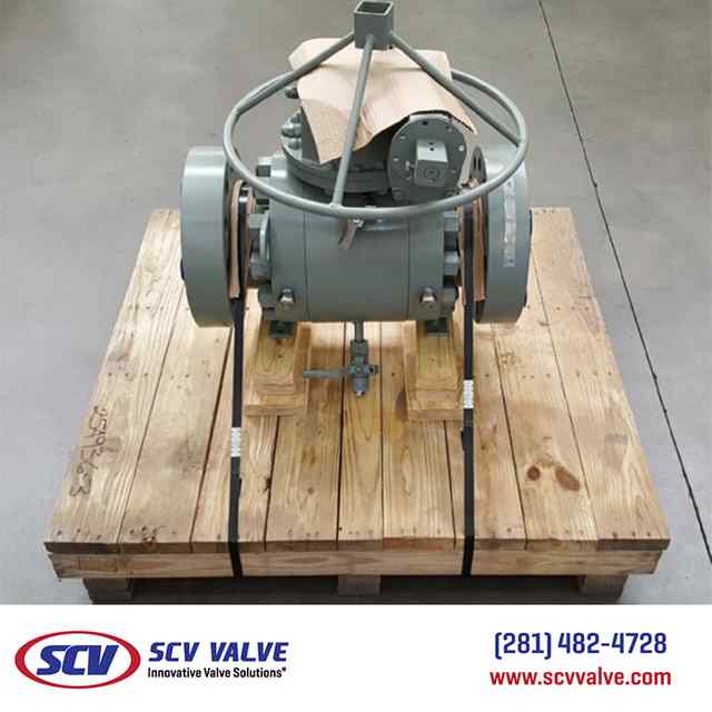 bal_107.jpg bal_107.jpg