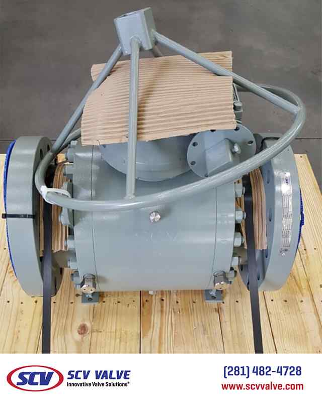 bal_109.jpg bal_109.jpg