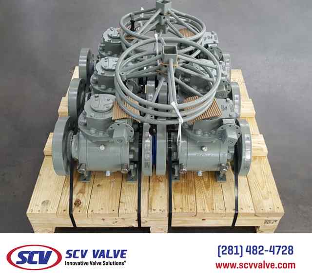 bal_112.jpg bal_112.jpg