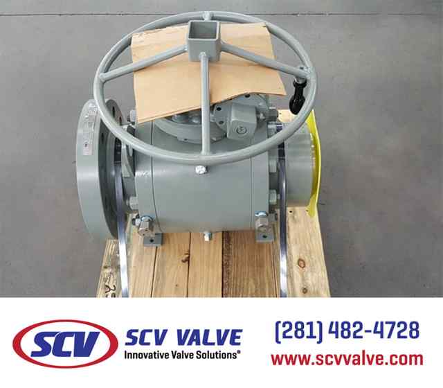 bal_113.jpg bal_113.jpg