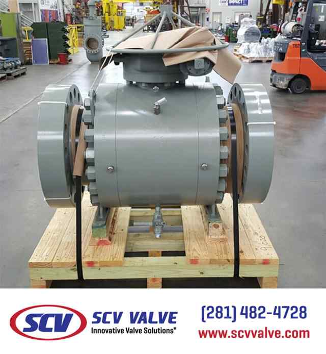 bal_114.jpg bal_114.jpg