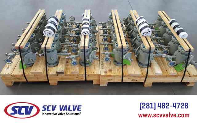 bal_131.jpg bal_131.jpg