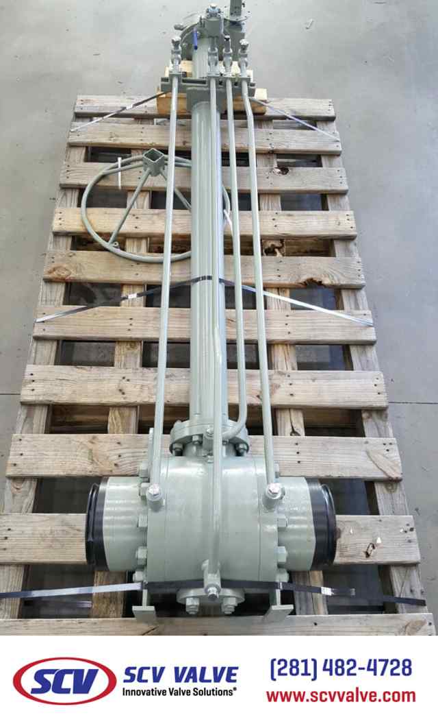 bal_139.jpg bal_139.jpg